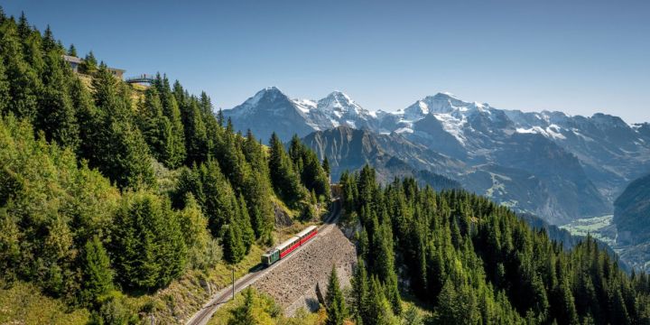 tren