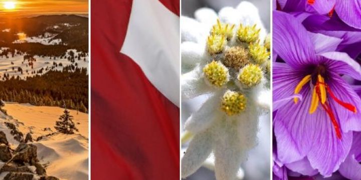 Los colores de Suiza